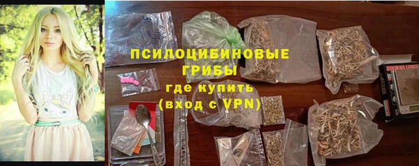 дживик Алексеевка
